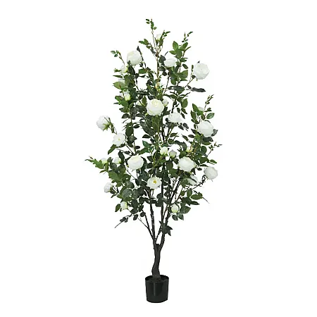 images/uploads/22247/thumb_22055 web.webp